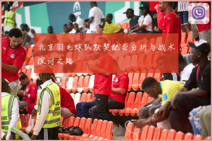 北京羽毛球队默契配合分析与战术探讨之路
