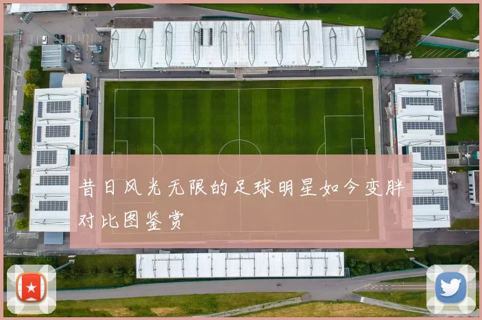 昔日风光无限的足球明星如今变胖对比图鉴赏