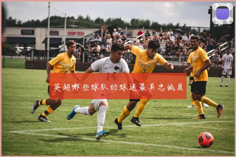 英超哪些球队的球迷最具忠诚度