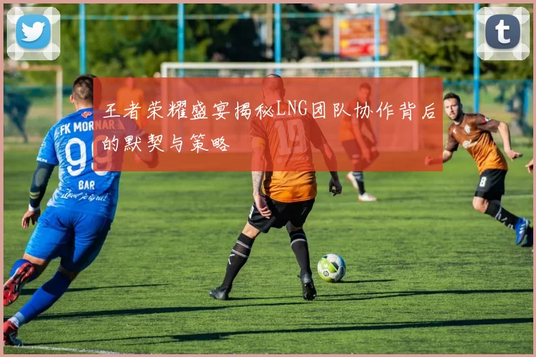 王者荣耀盛宴揭秘LNG团队协作背后的默契与策略