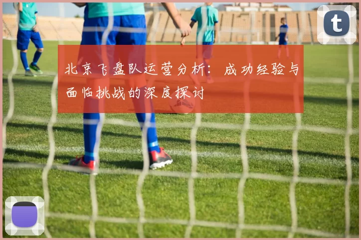 北京飞盘队运营分析：成功经验与面临挑战的深度探讨