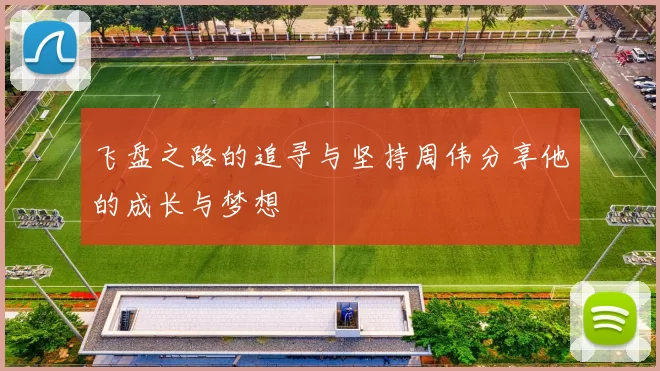 飞盘之路的追寻与坚持周伟分享他的成长与梦想