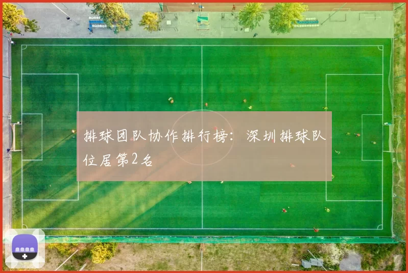 排球团队协作排行榜：深圳排球队位居第2名