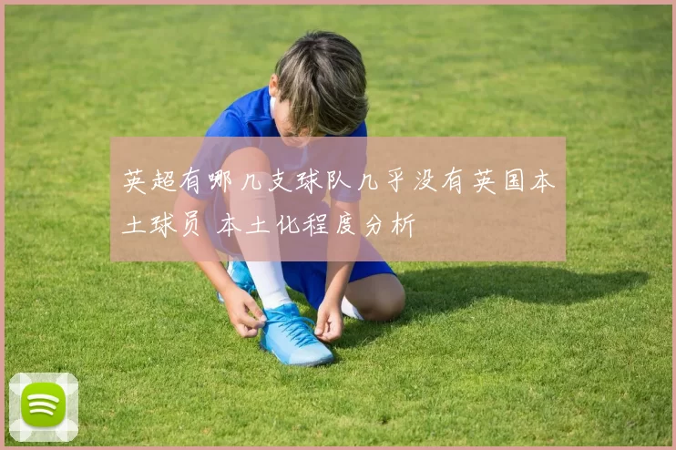 英超有哪几支球队几乎没有英国本土球员 本土化程度分析