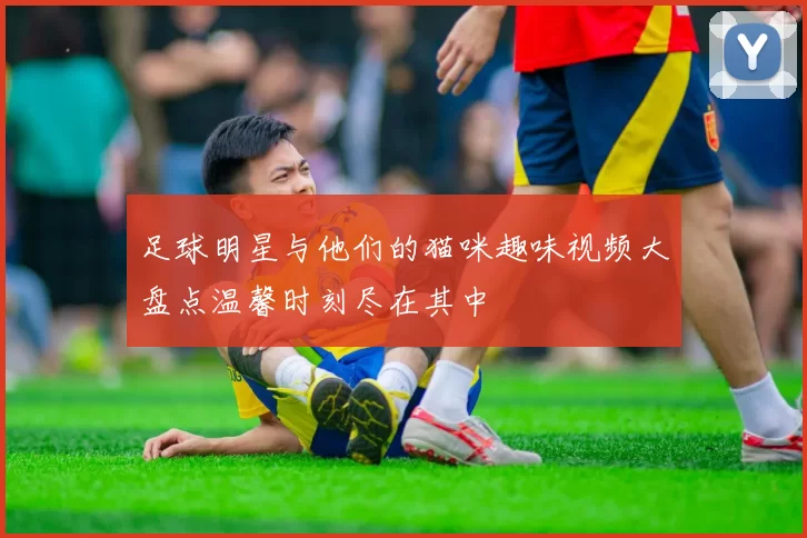 足球明星与他们的猫咪趣味视频大盘点温馨时刻尽在其中