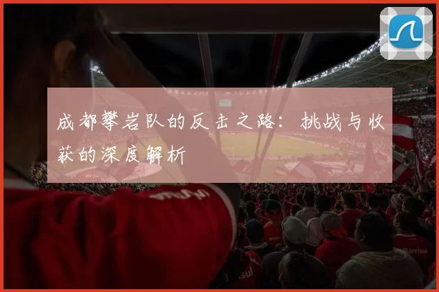 成都攀岩队的反击之路：挑战与收获的深度解析