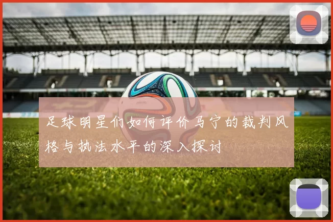 足球明星们如何评价马宁的裁判风格与执法水平的深入探讨