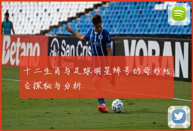 十二生肖与足球明星绰号的奇妙结合探秘与分析