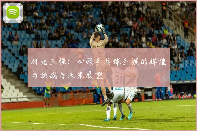 对话王强：回顾乒乓球生涯的辉煌与挑战与未来展望