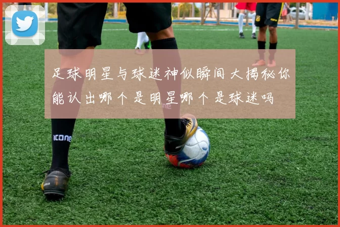 足球明星与球迷神似瞬间大揭秘你能认出哪个是明星哪个是球迷吗