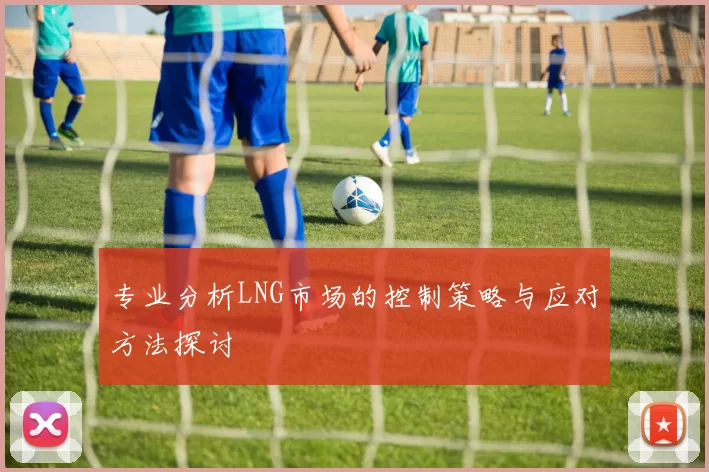专业分析LNG市场的控制策略与应对方法探讨