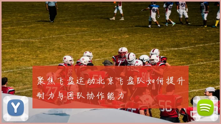聚焦飞盘运动北京飞盘队如何提升耐力与团队协作能力