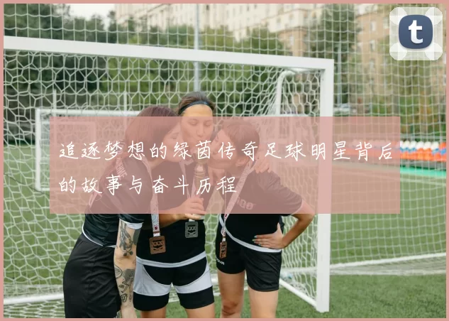追逐梦想的绿茵传奇足球明星背后的故事与奋斗历程