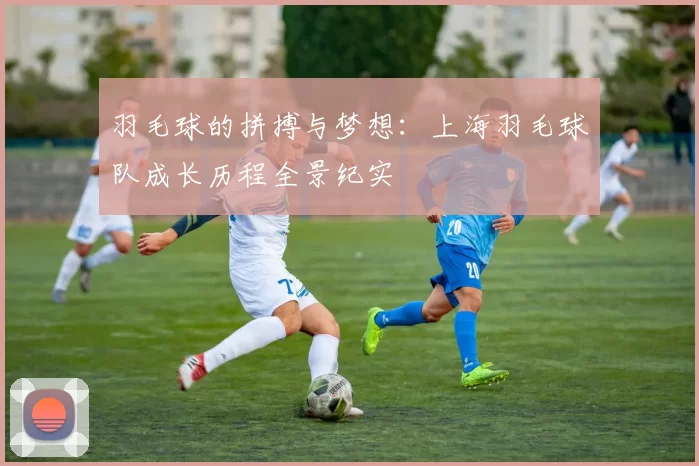 羽毛球的拼搏与梦想：上海羽毛球队成长历程全景纪实
