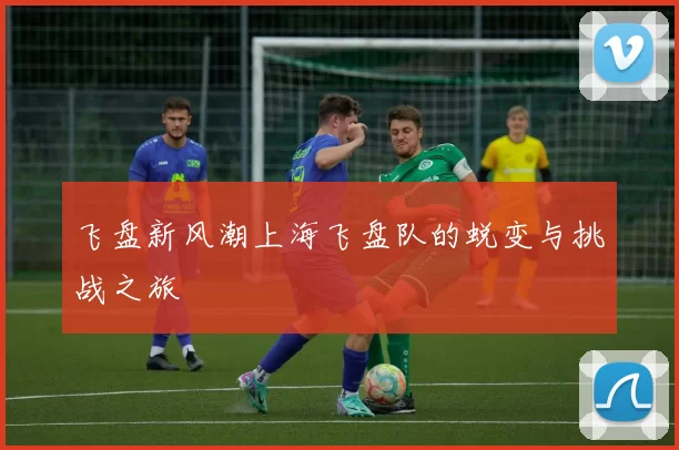 飞盘新风潮上海飞盘队的蜕变与挑战之旅