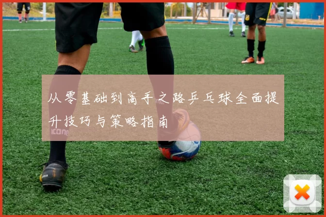 从零基础到高手之路乒乓球全面提升技巧与策略指南