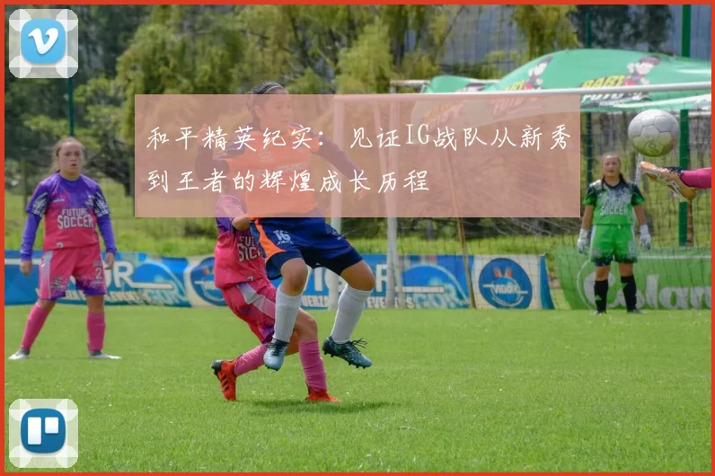 和平精英纪实：见证IG战队从新秀到王者的辉煌成长历程