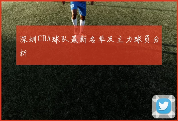 深圳CBA球队最新名单及主力球员分析