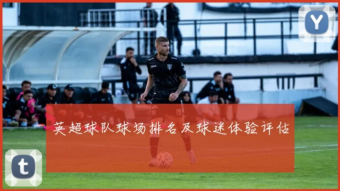 英超球队球场排名及球迷体验评估