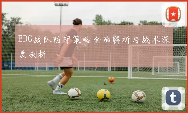EDG战队防守策略全面解析与战术深度剖析