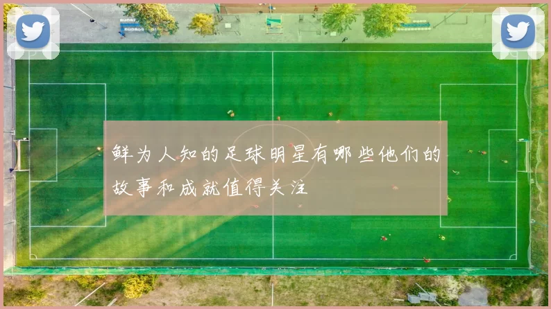 鲜为人知的足球明星有哪些他们的故事和成就值得关注