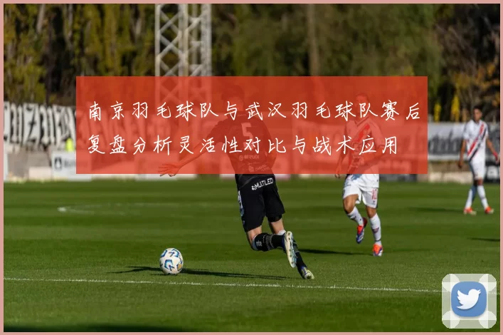 南京羽毛球队与武汉羽毛球队赛后复盘分析灵活性对比与战术应用