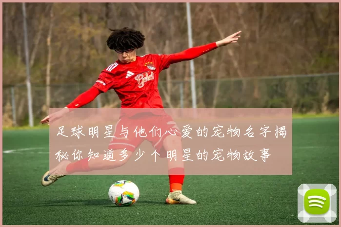 足球明星与他们心爱的宠物名字揭秘你知道多少个明星的宠物故事