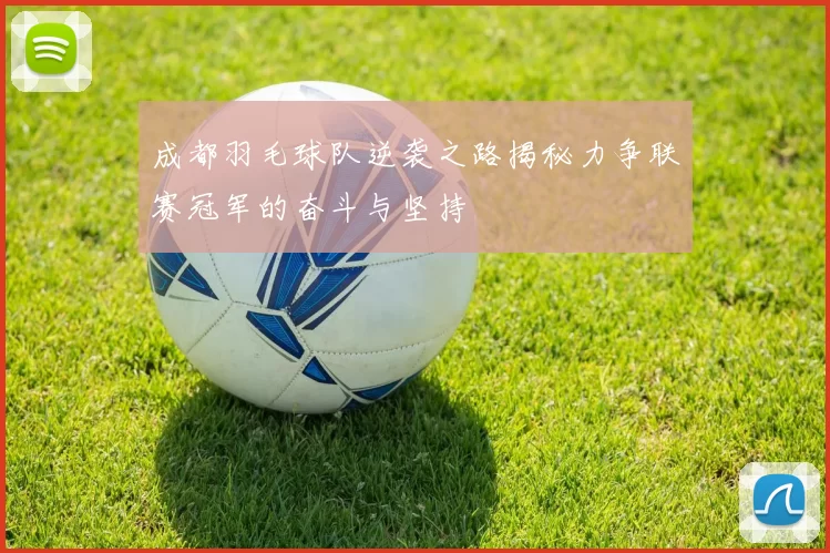 成都羽毛球队逆袭之路揭秘力争联赛冠军的奋斗与坚持