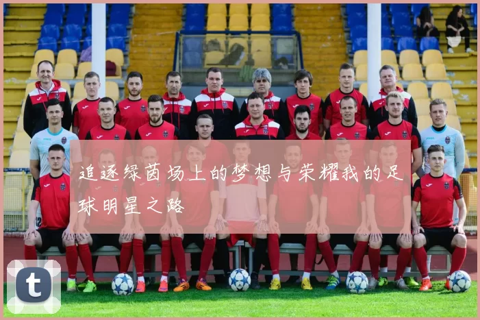 追逐绿茵场上的梦想与荣耀我的足球明星之路